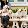 ขอขอบคุณรูปภาพจาก FB Pet and Peace Family House รับฝากสุนัข นอนแอร์ ไม่ขังกรง