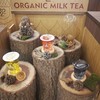 722 Seven Twenty Two Organic Milk Tea centralwOrld