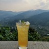 Welcome drink: honey lemon with black mint