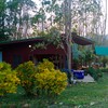 ร้านขายของ