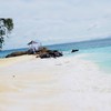 บริเวณ เกาะไม้ท่อน มุมถ่ายรูป