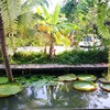 Gajib Bed & Breakfast