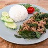 ข้าวกะเพรา ข้าวกะเพรา