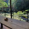 ภายในร้าน วิวข้างลำธาร