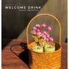 Welcome Drink ของบ้านชมทุ่งมีความพิเศษที่ ผัก ผลไม้ที่เรานำมาทำนั้น ล้วนแล้วแต่ม