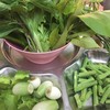 ขนมจีนแม่ติ่ง