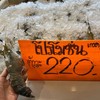กุ้งแม่น้ำยัก ตัวละ 220 บาท