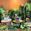 The Birder's Lodge Cafe (BL Cafe & Grill)