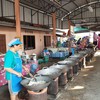 ผลิตมะพร้าวแก้วสดใหม่ทุกวัน