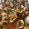 ผัดเผ็ดปลาดุกสด