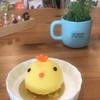 Chicken Mango Mousse