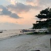 ชาดหาดบริเวณร้าน