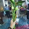 วัดหัวลำโพง