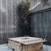 The Birder's Lodge Cafe (BL Cafe & Grill)