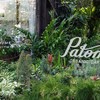 Patom Organic Living Thonglor