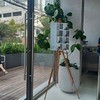 PRESSED CAFE