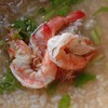 กุ้งสดตัวโตโตหอมกระเทียมเจียว
