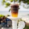 “Midnight Sun” (ราคา 80 บาท) 