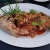 CHARIOT Pub & Restaurant