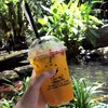 Slow Ride Coffee & Cafe