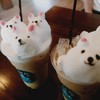 Bear Hug Cafe'