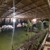 ด้านหน้าร้านมีบ่อน้ำสร้างบรรยากาศ