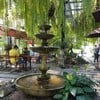 Fernpresso Cafe สุเทพ