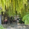 Fernpresso Cafe สุเทพ