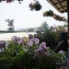 ด้านข้างเป็นสวนองุ่น