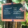 โคลงไทยในสวน