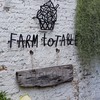 Farm to Table ไฮด์เอาท์
