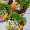 สลัด-ไข่ต้ม สลัด-ไข่ต้ม