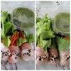สลัดโรล กุ้ง-ทูน่า สลัดโรล กุ้ง-ทูน่า