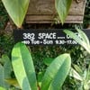 382 SPACE COFFEE & BAKERY