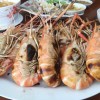กุ้งเป็น