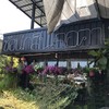 ป้ายร้าน