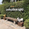 มีมีมถ่ายรูปเท่ห์ๆ