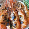 กุ้งเลี้ยงเผา 1 กก. กุ้งเลี้ยงเผา 1 กก.