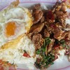 กะเพราเครื่องในไก่+ไข่ดาว