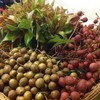 ตำบักค้อ (เฉพาะ ฤดูกาล) ตำบักค้อ (เฉพาะ ฤดูกาล)