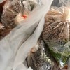 ก๋วยเตี๋ยวเนื้อ สว่างอรุณ (โชคชัย4)