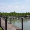เส้นทางการเดินไปบรรจบกับลานทุ่งโปรงทอง