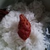 ซ้งเป็ดพะโล้ สี่แยกวังหิน