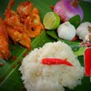 แมวซิ่ง - ปลาแซลมอนส้ม delivery