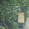 Wood Cafe ลาดพร้าววังหิน 48