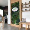 Salad Factory เมืองทองธานี