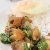 ลด 15%กระเพราหมูกรอบราดข้าว ลด 15%กระเพราหมูกรอบราดข้าว