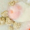 โจ๊กหมูล้วนใส่ไข่(ของเด็ก) โจ๊กหมูล้วนใส่ไข่(ของเด็ก)