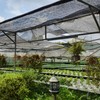Home Fresh Hydrofarm รามคำแหง 167