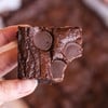🍫 Fudgey Cocoa Brownies